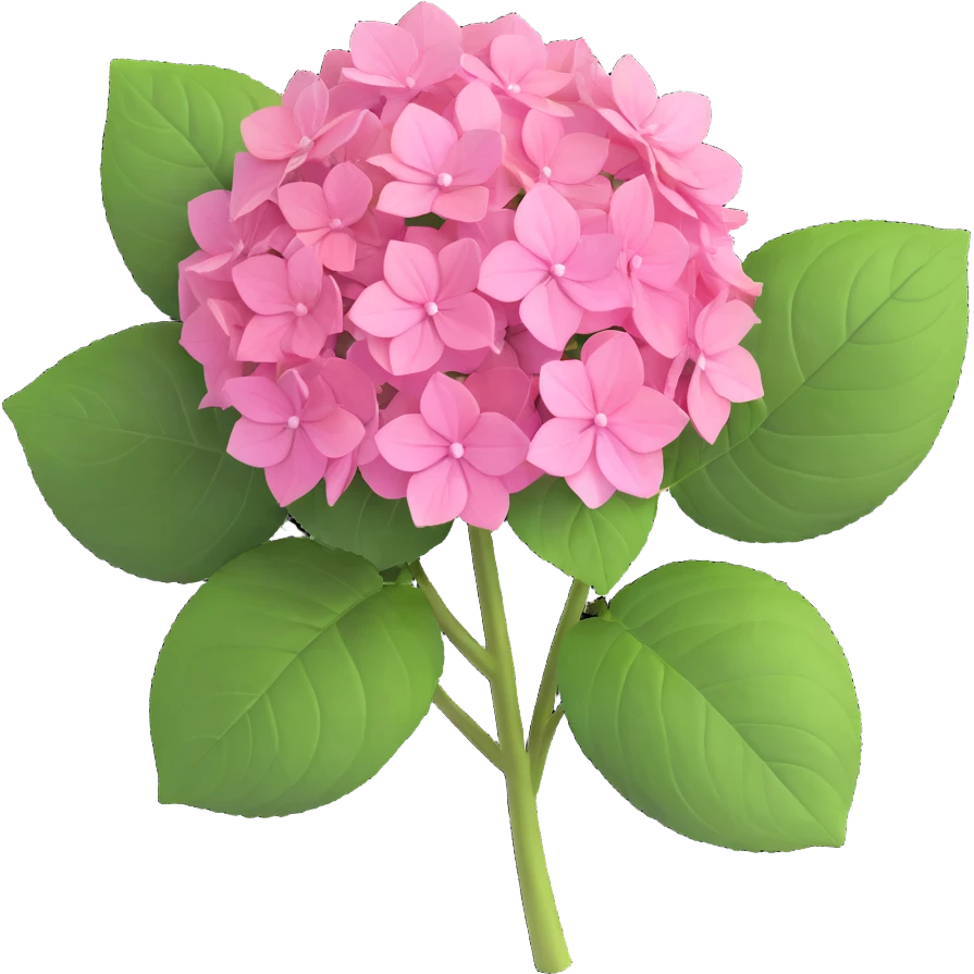pink hydrangea flower with green leaves, side view emoji