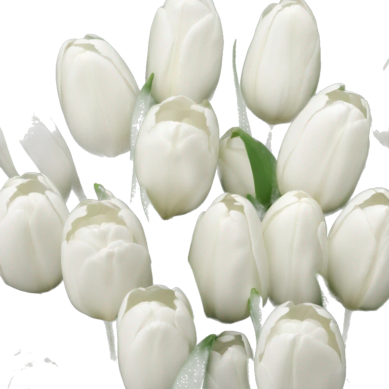 White tulips emoji
