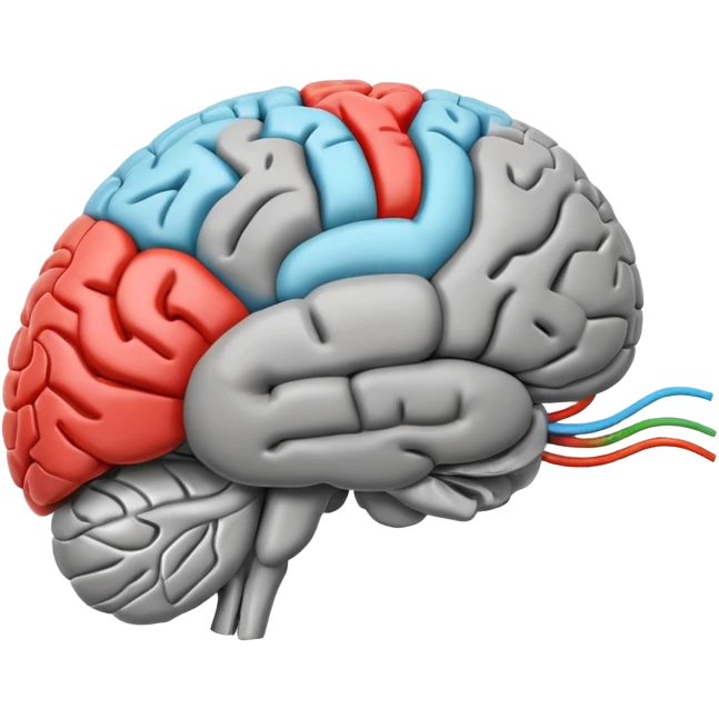 emoji icon of side view of an anatomically correct human brain with details of the brain structure and in detailed 3d rendring, colored to highlight different sections emoji