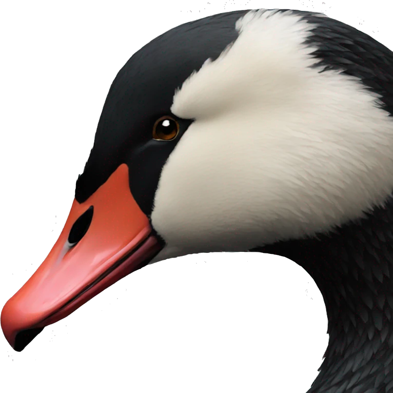 black swan facing right emoji
