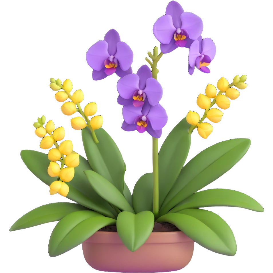 Realistic purple phalaenopsis orchid with rich lavender blooms and prominent large green leaves clearly visible emoji