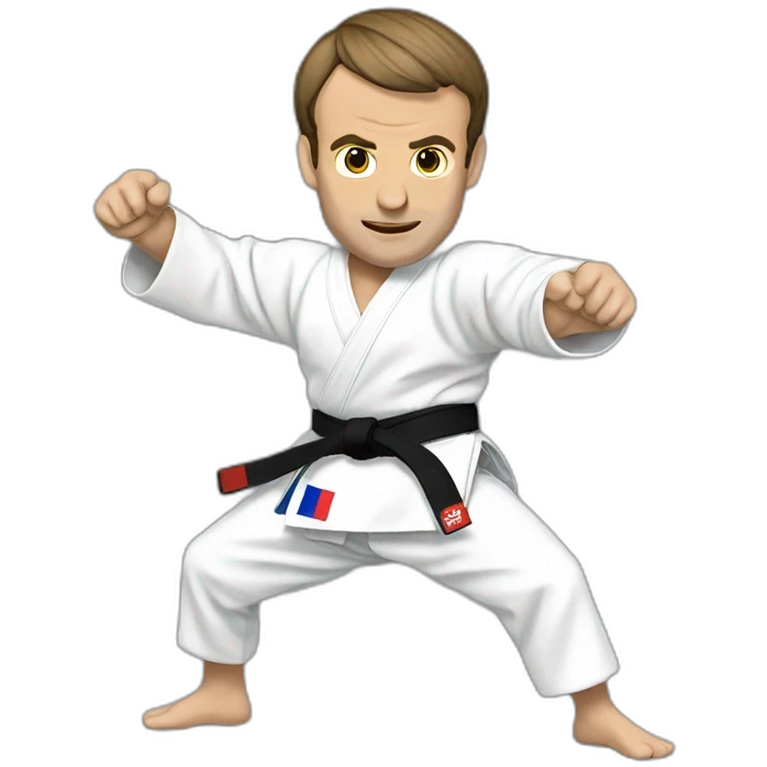 Emmanuel Macron judo emoji