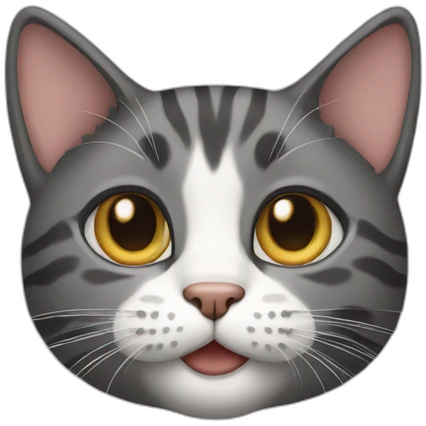 cat emoji