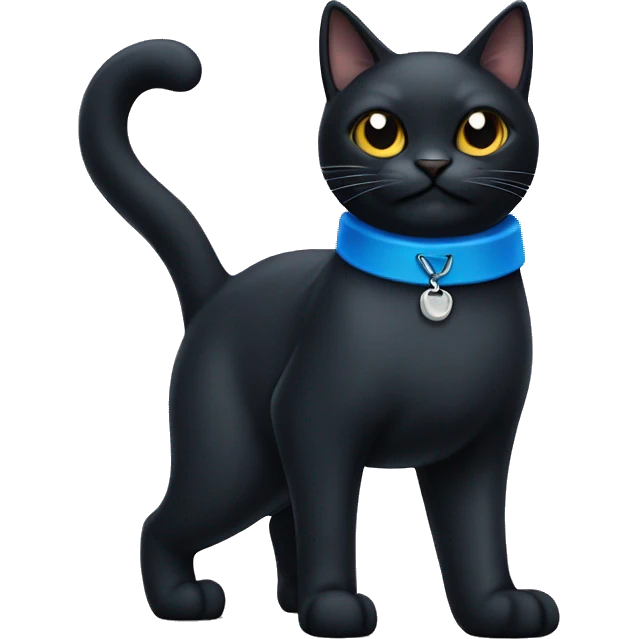 Black cat with blue collar  emoji