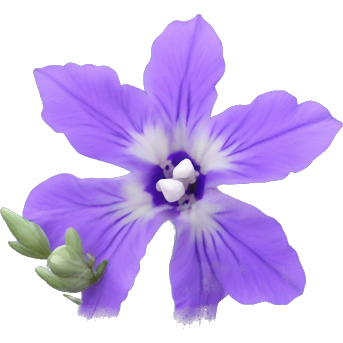 Larkspur pretty flower  emoji