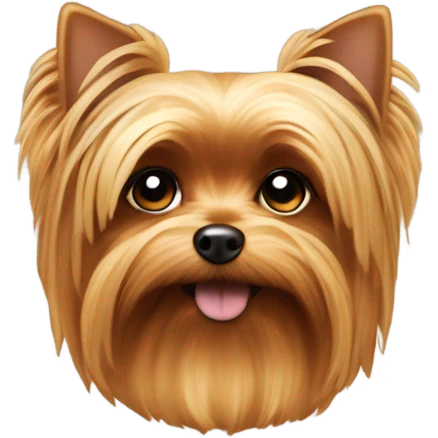 Yorkie mixed with a baked potato emoji