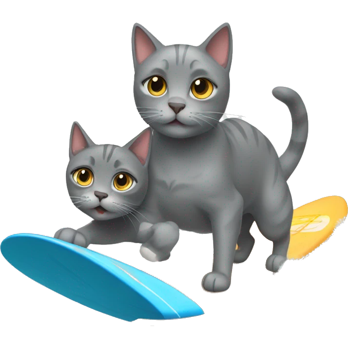 Gray cat surfing with dog emoji