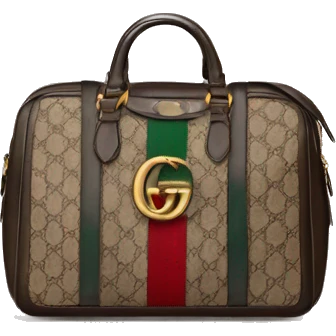 Gucci bag emoji