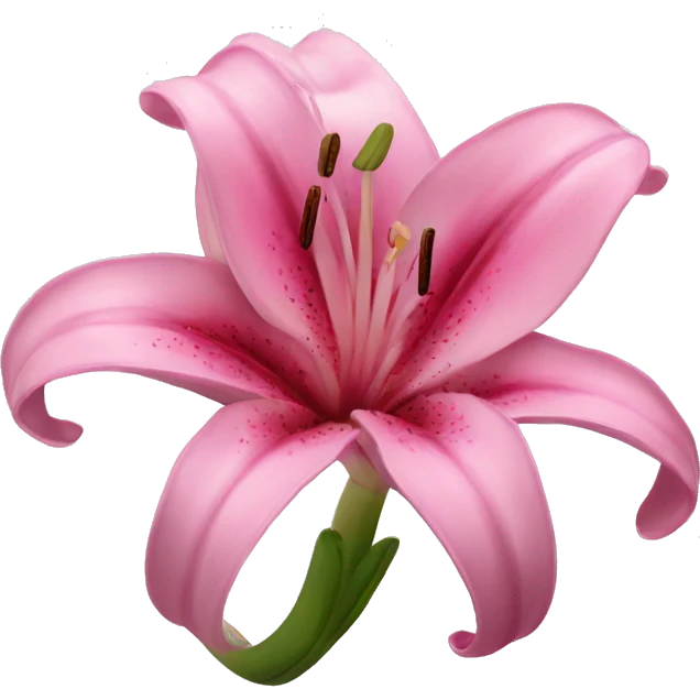 Pink lily emoji