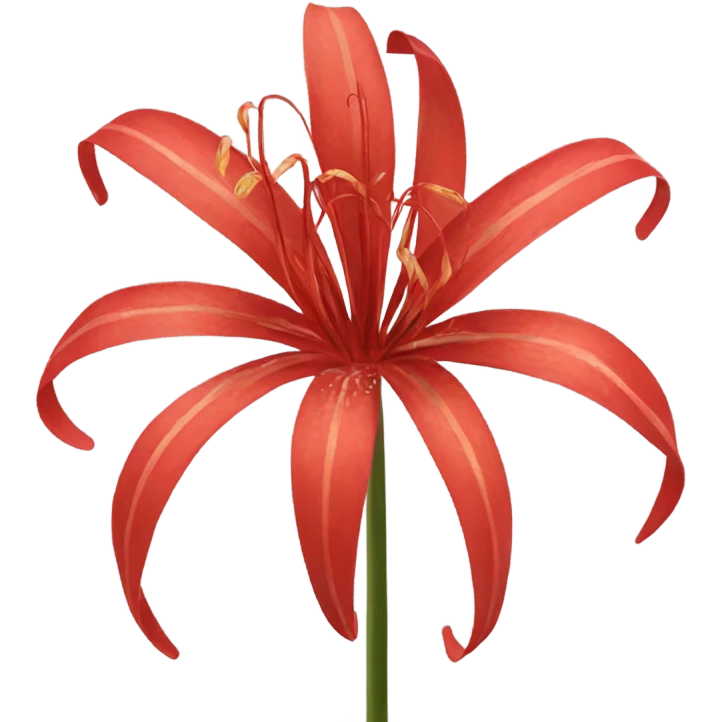 red spider lily emoji
