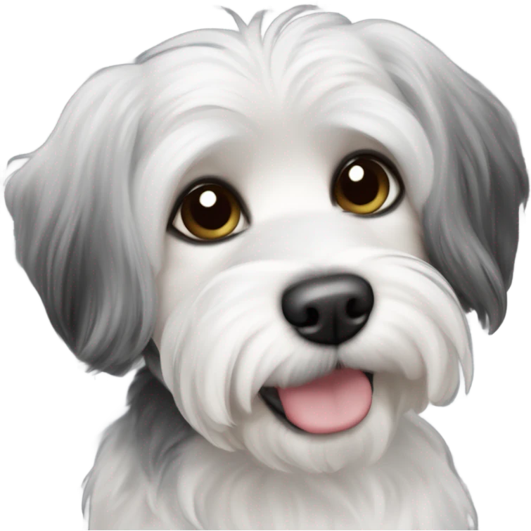 Black white and gray small havaness Maltese shi’ztu dog emoji