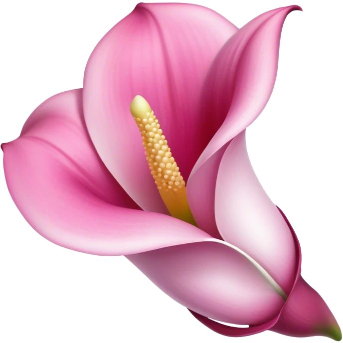 Pink Calla Lily Gypsum emoji