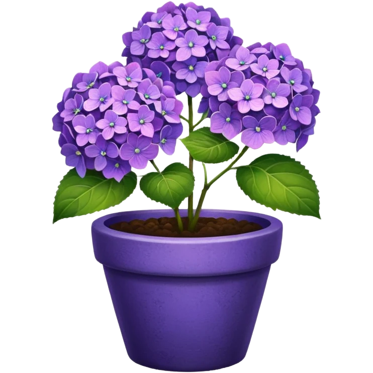 purple hydrangeas flower pot emoji