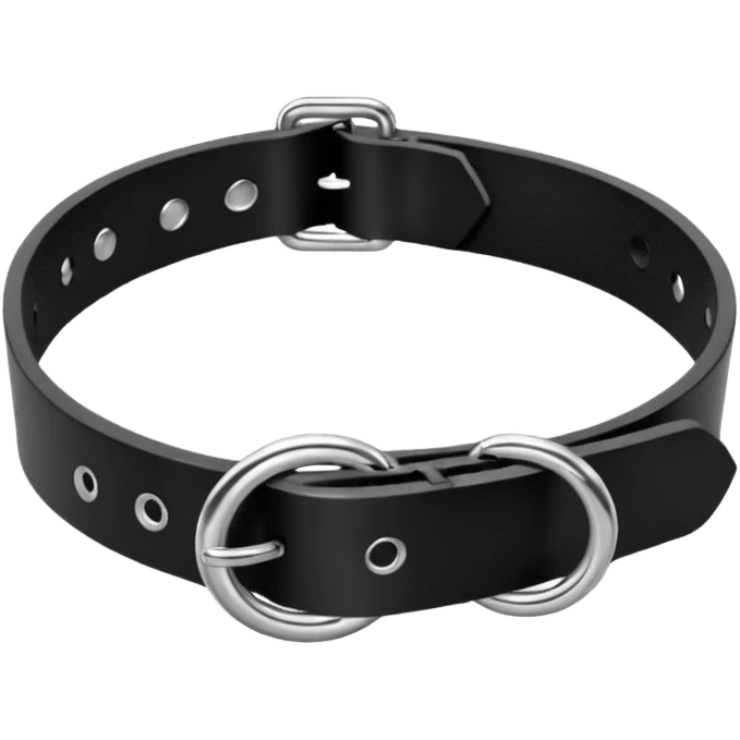 Collar – black leather with silver O-ring. emoji
