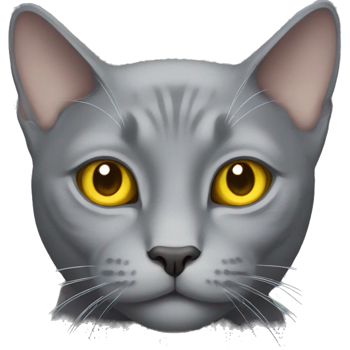 solid gray cat with yellow eyes, no stripes emoji