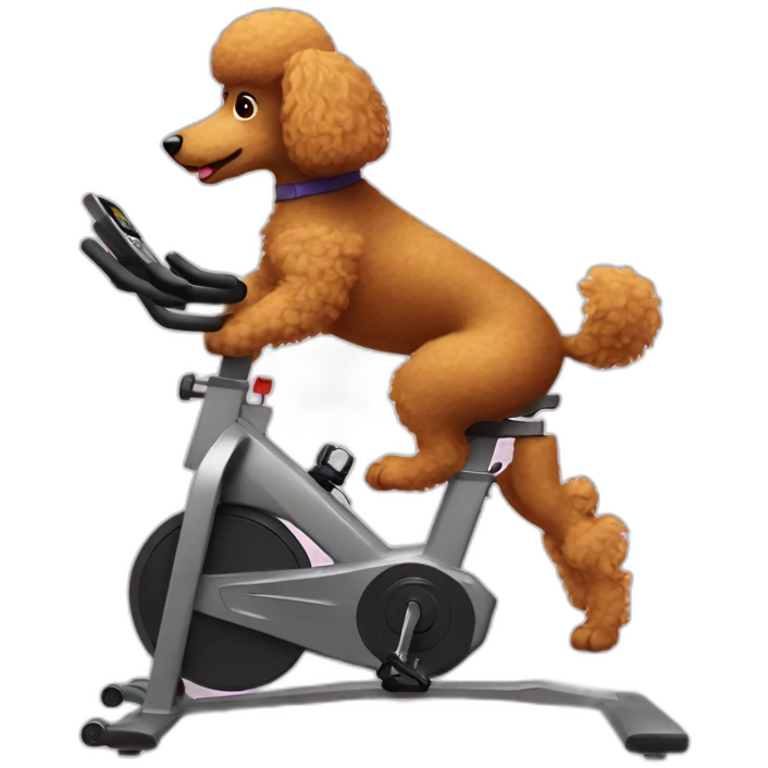 Poodle on a spin bike emoji