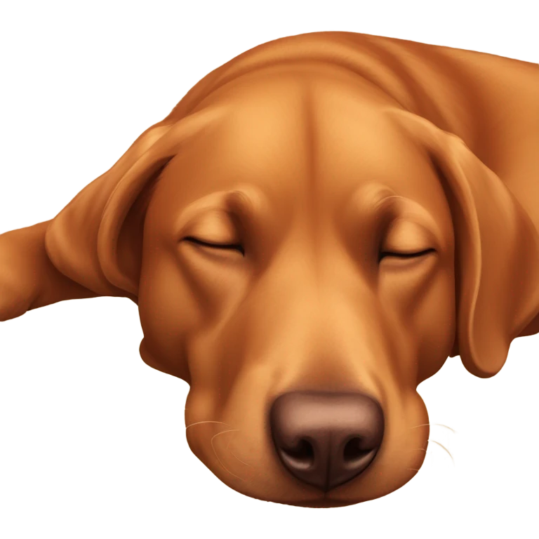 Red lab sleeping emoji