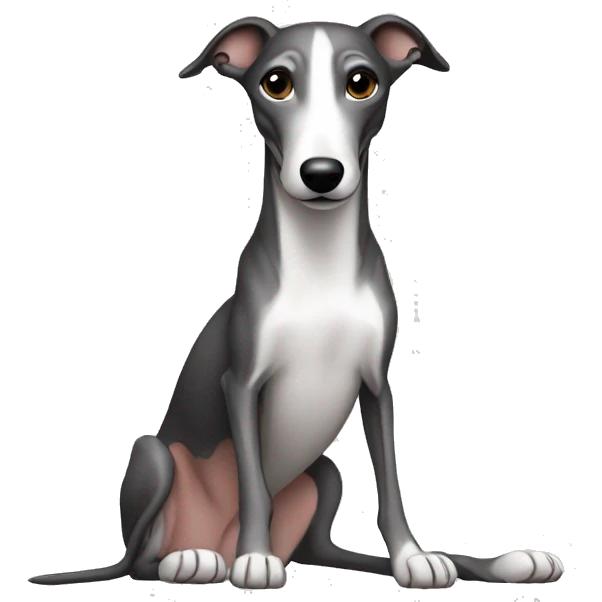 Skinny all back whippet sitting emoji