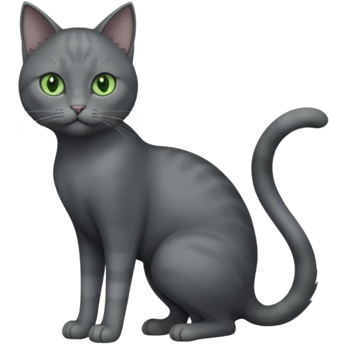full body view of beautiful female solid dark grey cat with green eyes, grey face, white toes/paws and white patch on her chest emoji