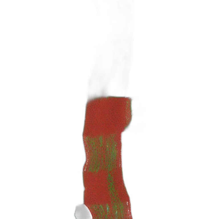 red-green-white scarf emoji