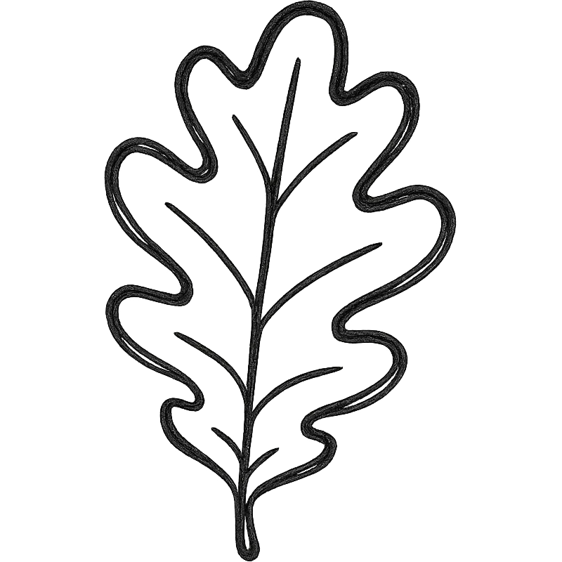 oak leaf icon, hand drawn outline style emoji