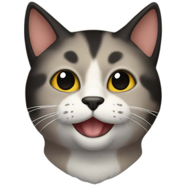gato naraja con negro emoji