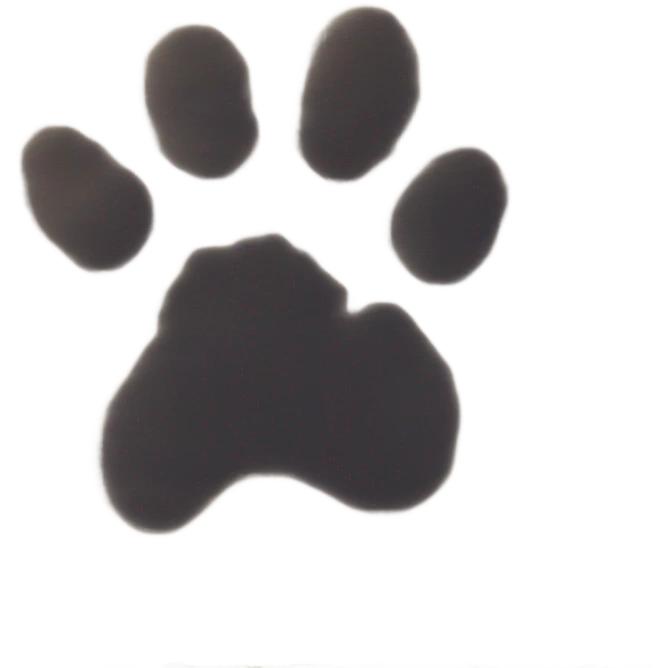 Polaroid paw emoji