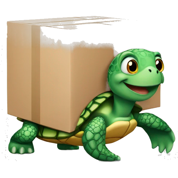 turtle holding a parcel box emoji