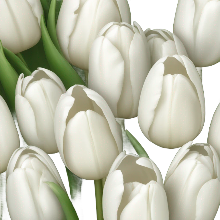 white tulip bouquet  emoji