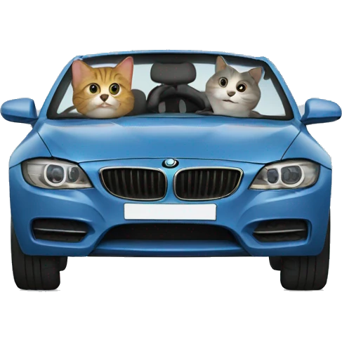 Cat driving  in a BMW-branded vehicle emoji