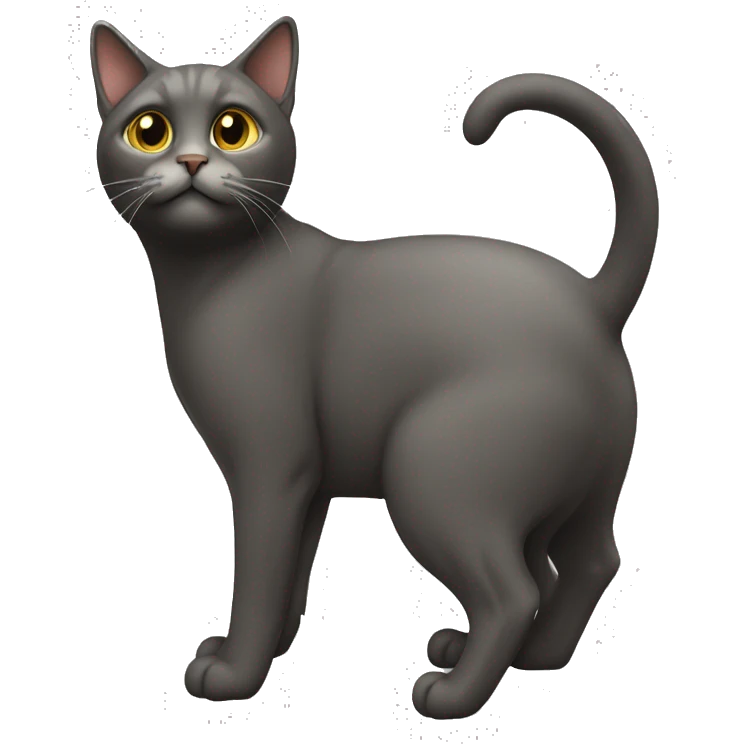 cat，full body，rear view emoji