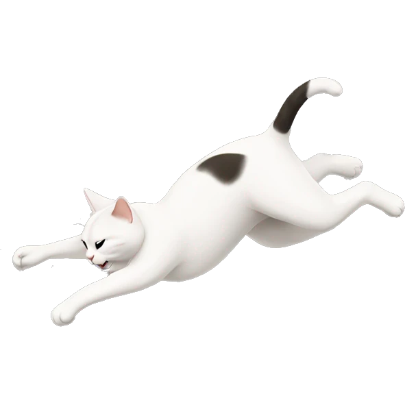 Cat doing a backflip  emoji