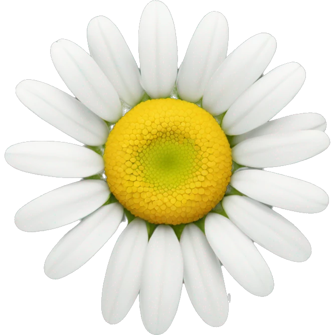 daisy flower emoji