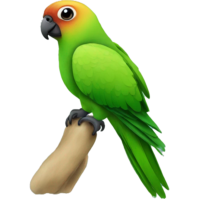  green conure with black head emoji