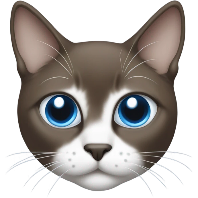 snowshoe cat with white nose and blue eyes emoji