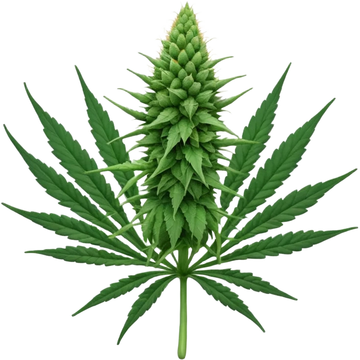 Cannabis  emoji