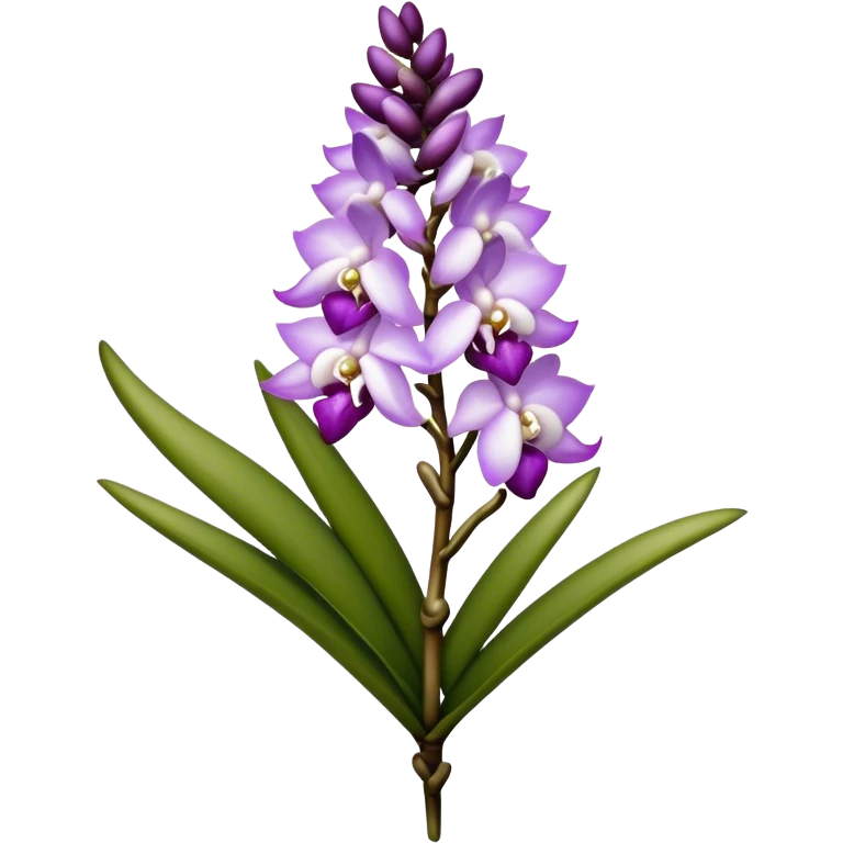single white purple Rhynchostylis Orchid, 
straight stem emoji