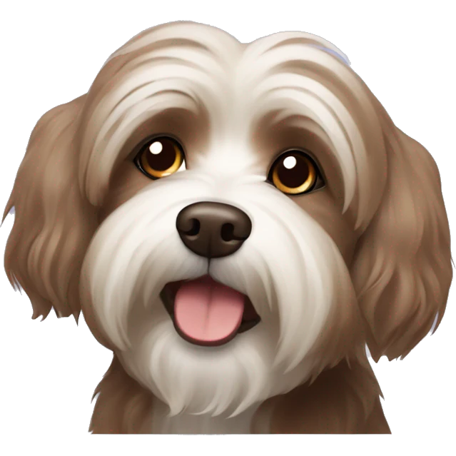 brown havanese dog   emoji