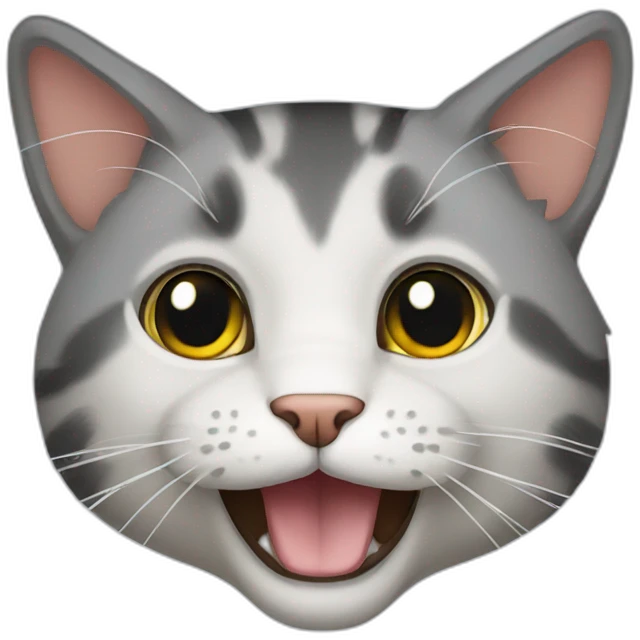cat rocky emoji