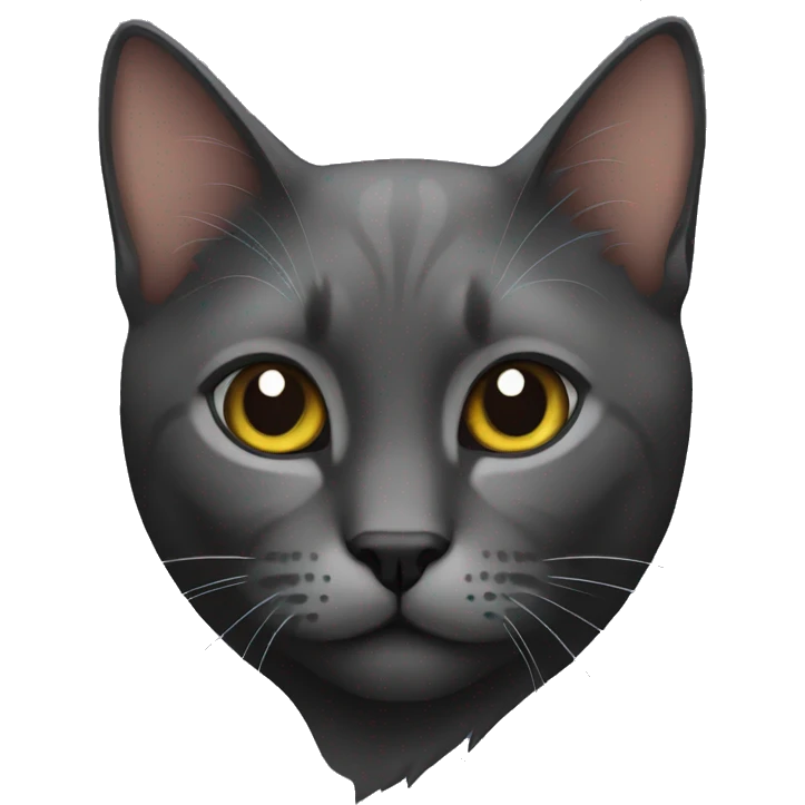 Cat black  emoji