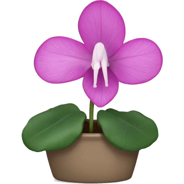 cyclamen single flower emoji