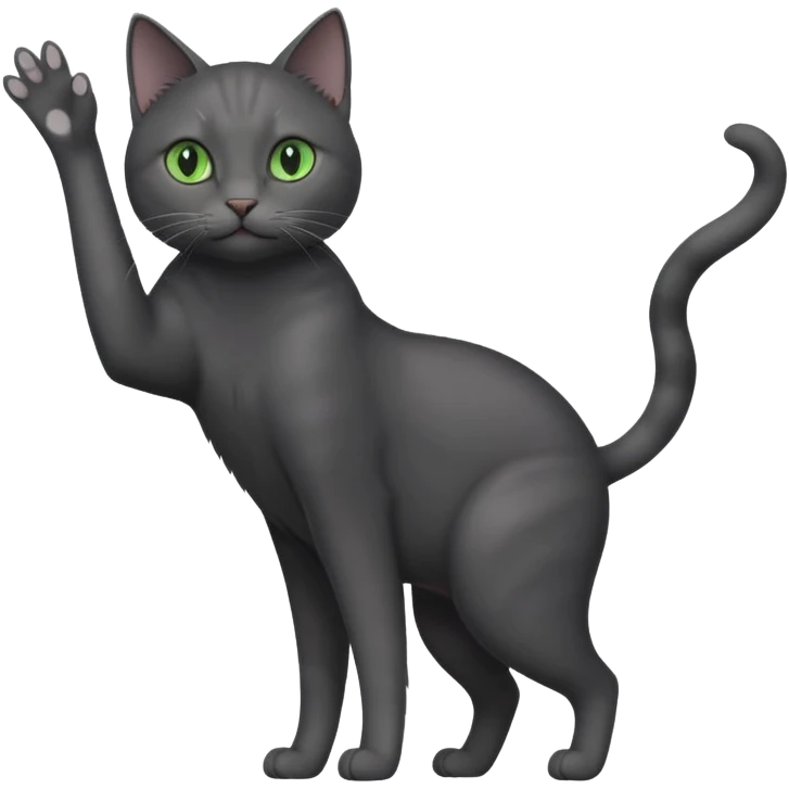 full body gorgeous solid dark grey cat with green eyes, white paws and white whiskers reaching for something emoji
