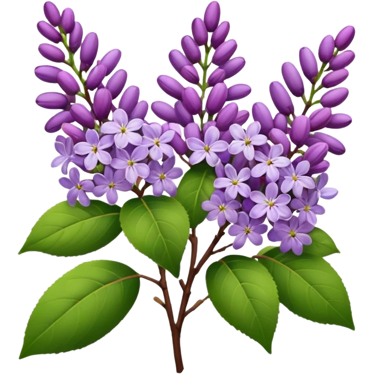 lilacs emoji
