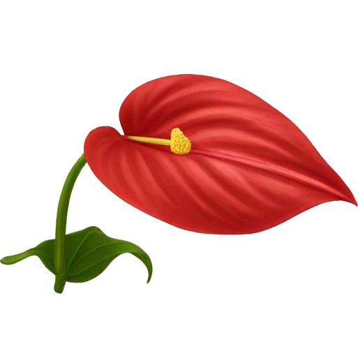 red anthurium flower only no stem emoji