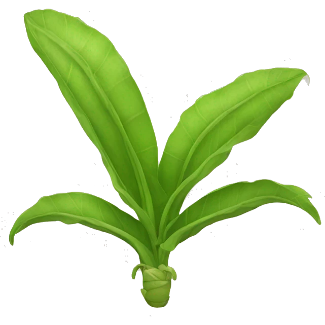 albahaca emoji