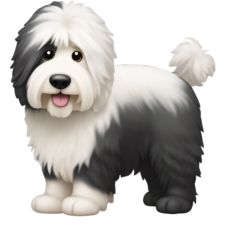 Old English sheepdog with a half and half face like a black and white cookie emoji