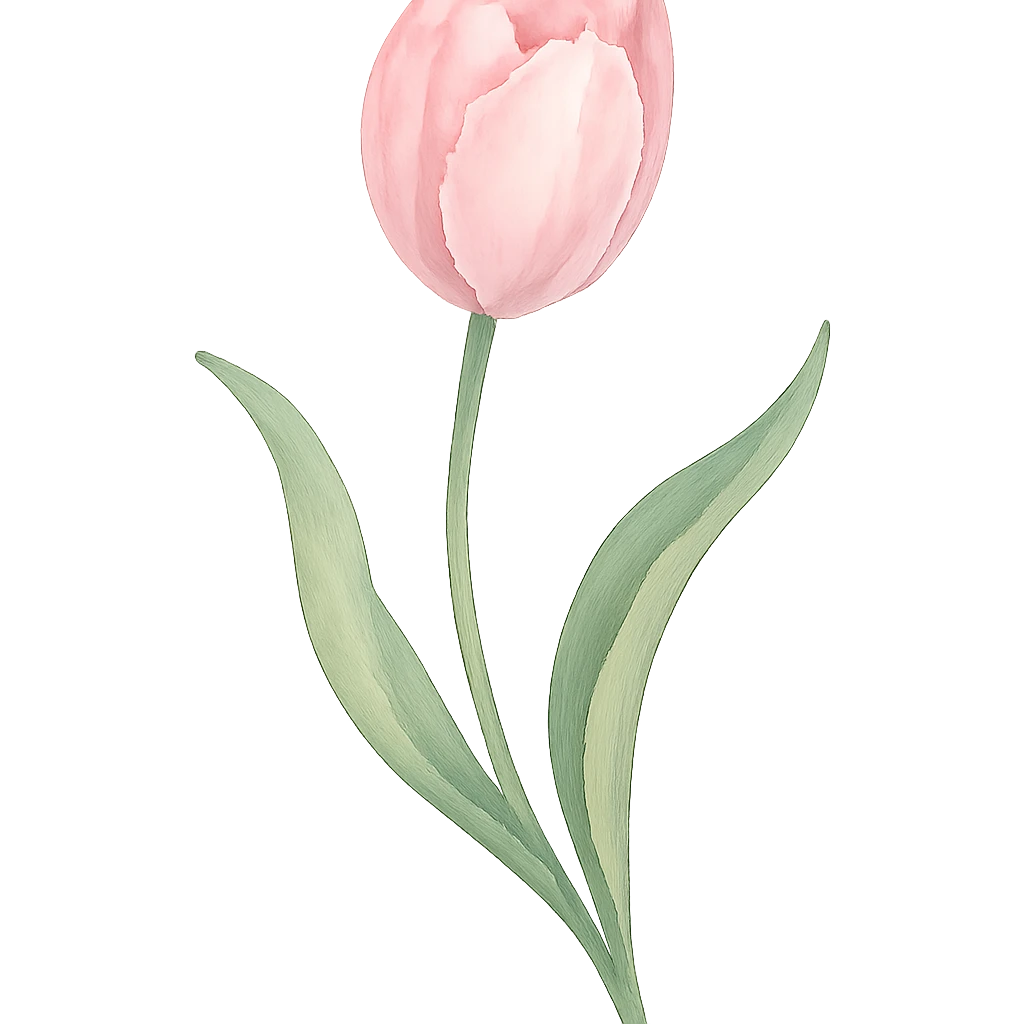 single soft pink tulip with watercolor petals, transparent background, green stem, curved soft leaves, elegant hand-painted style emoji