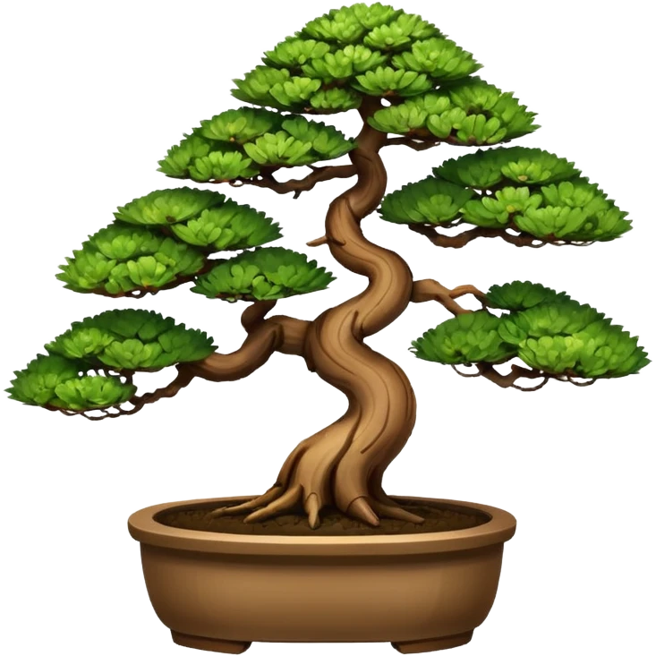 Bonsai plant of dawn redwoods trees 3 of them. In a bonsai pot  emoji