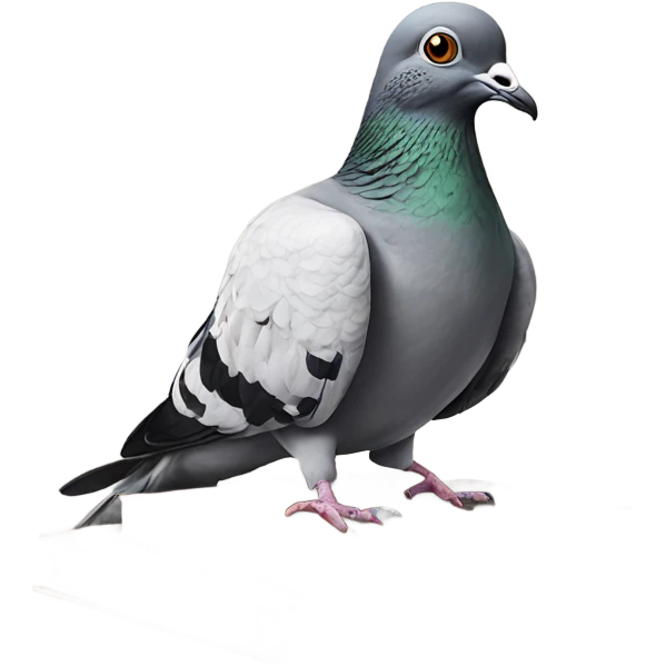 Pigeon with glasses and a book hyper realism  emoji