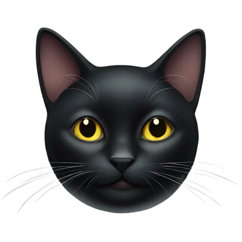 New years black cat emoji